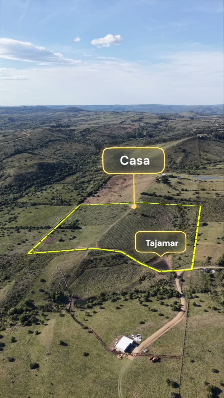 Aerial photograph of a rural property